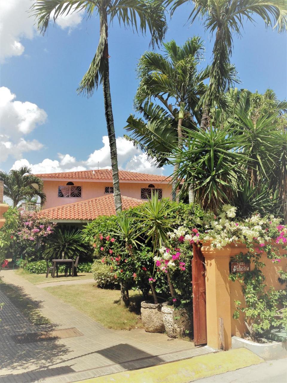 Casa Felicita B&B Y Apartamentos Bayahibe Eksteriør bilde